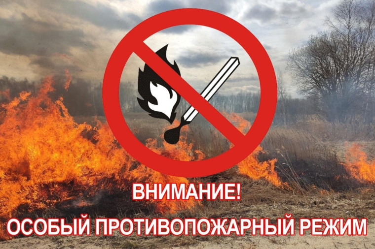 Особый противопожарный режим. Особый противопожарный режим.